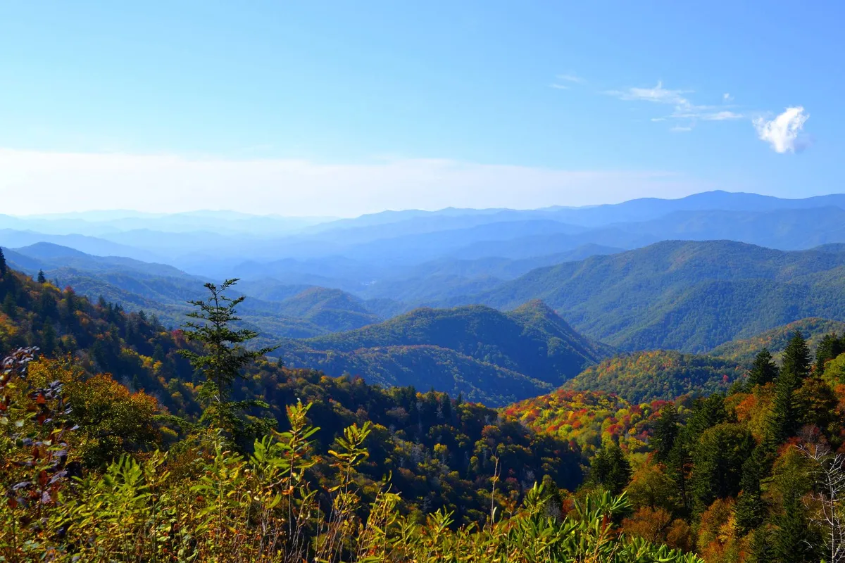 A breathtaking view of mountain ranges dusted with autumn foliage under a clear blue sky. The scene invites nature walks and panoramic hikes, echoing the adventurous spirit of Lookout Mountain mentioned in the text.
