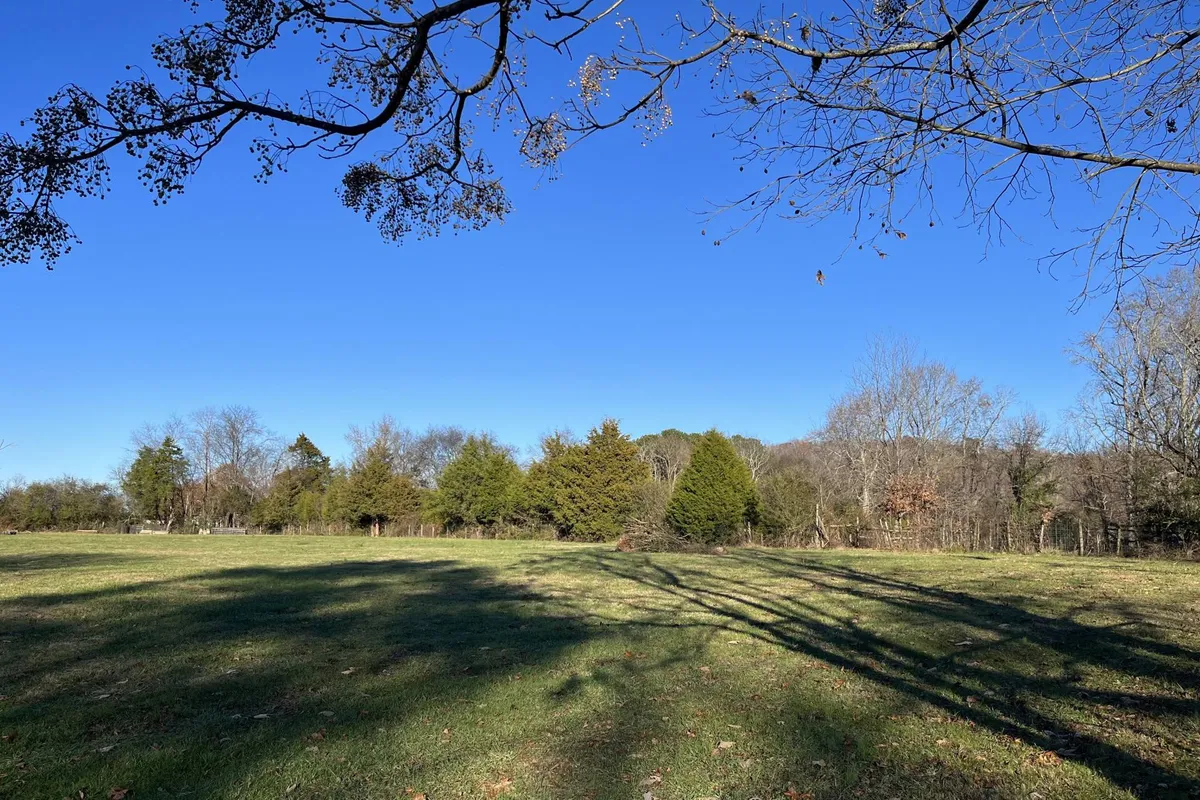 This image features an expansive green field bordered by a distant tree line under a clear blue sky. The open space is vibrant and wide, evoking a sense of freedom and natural beauty. The field is ideal for children to run, play, or picnic, while adults and pet owners can enjoy relaxing walks or nature observation.