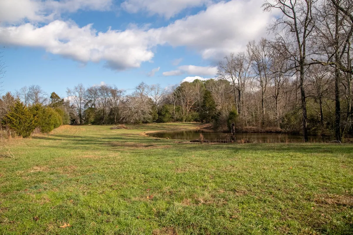 A peaceful pond surrounded by grassy fields and trees, bathed in soft evening light. The calm water is inviting for fishing, and the open landscape fosters a sense of space and tranquility, ideal for nature lovers and anglers alike.