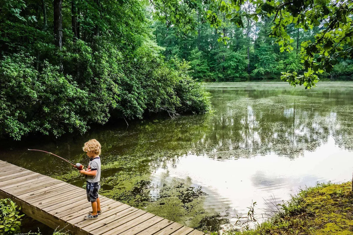 A child is pictured fishing along the calm water, surrounded by lush greenery. The setting is peaceful and inviting, capturing the playful spirit of teaching kids to fish and connecting with nature.