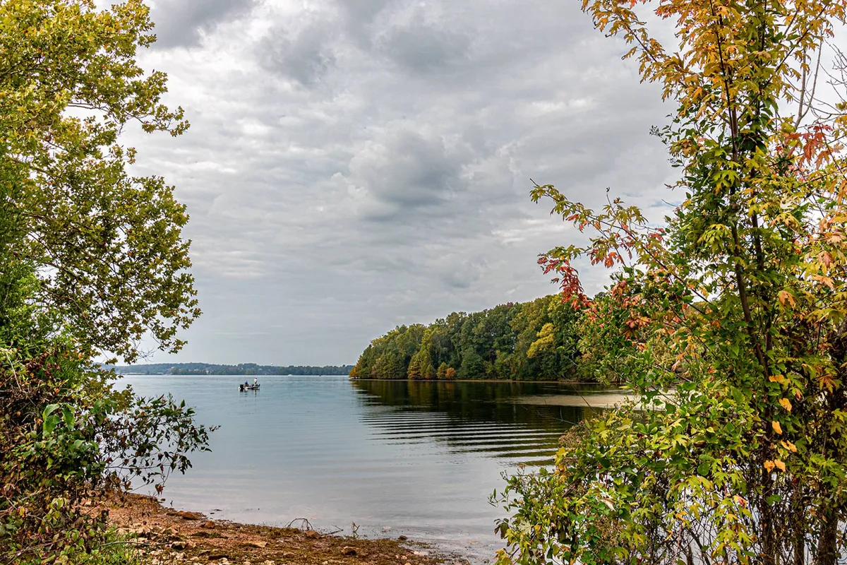 A tranquil view of calm water with a distant boat gliding across the lake, surrounded by lush green and hints of autumnal trees. The shoreline creates a perfect frame for sunrise or sunset, and the serene atmosphere suggests the early morning or golden hour ideal for fishing or boating.