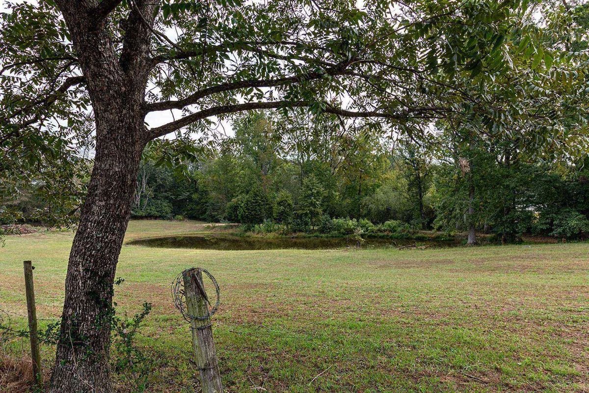 A peaceful exterior view featuring a large tree, a serene pond, and an open field. The scene suggests tranquility and possibilities for nature walks, wildlife spotting, and quiet moments by the water. The area looks welcoming for families, kids, and small pets alike.